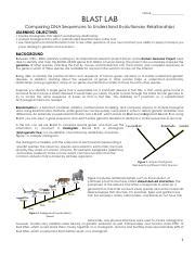 Image result for Blast Tutorial DNA Ubuntu