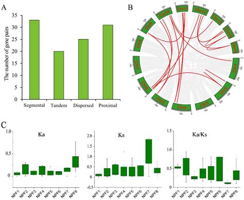 Systematic Investigation and Expression Profiles of the Nitrate ...