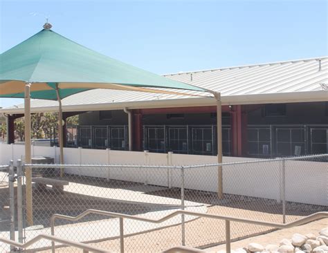 Animal Shelter | Yucca Valley, CA