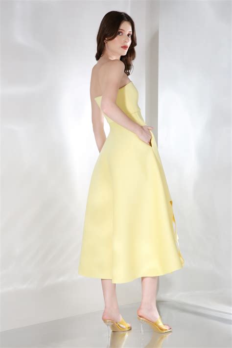 Daffodil x3 – Ozeqo