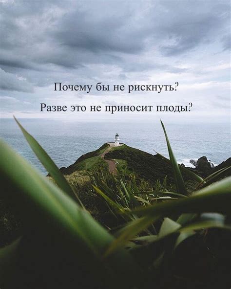 Пин на доске LiveLY