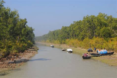 ​Haringhata Eco Park 2