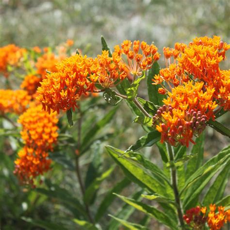 Fox River Park (Waukesha): All You Need to Know BEFORE You Go