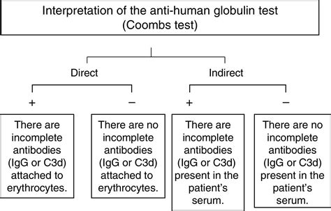 Image result for Coombs Test