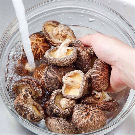 How to Rehydrate Dried Shiitake Mushrooms for Maximum Flavor | SHIITAKE ...