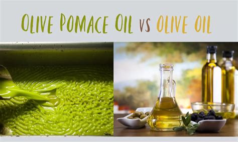 Olive Pomace Oil vs Olive Oil: The Ultimate Verdict - The Coconut Mama