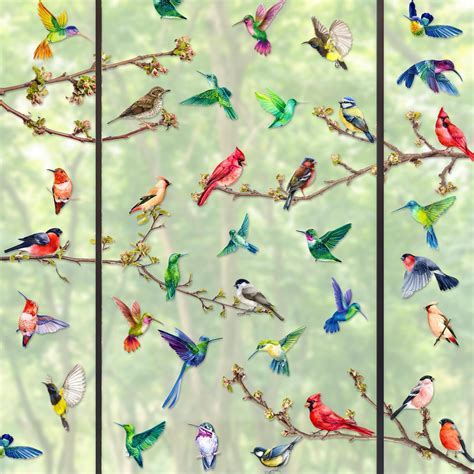 Amazon.com: Spring Summer Bird Window Clings - 9 Sheet Hummingbirds ...