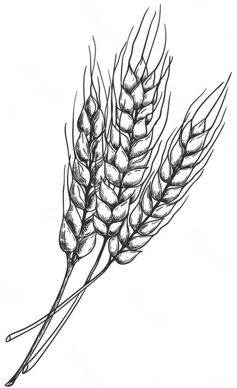SAT Coplam | Cooperativa de Suministros Agrícolas en Ávila