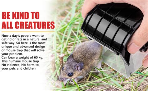 Alpenika Live Mouse Trap, Set of 1, Live Trap, Mice, Reusable ...