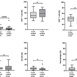 Image result for Box Chart Graph