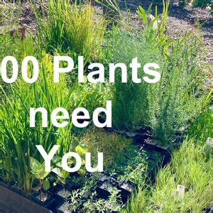 Regenerate Winter Track - The 3rd Year!, Winter Track, Stirling, 28 ...