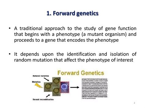 Image result for Forward Genetics