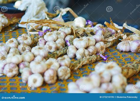 Garlic From France