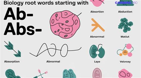 Biology Root Words Starting with Ab or Abs - Meaning & Examples