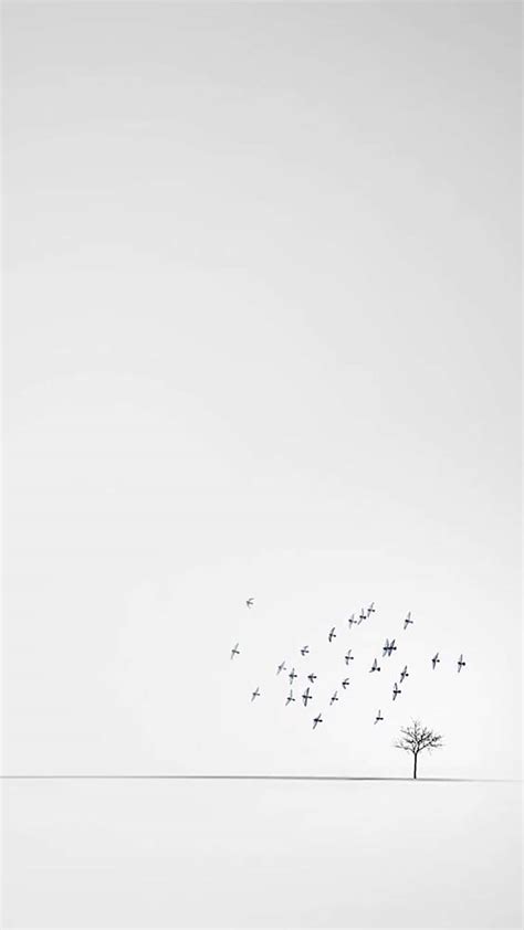 [100+] White Phone Backgrounds | Wallpapers.com