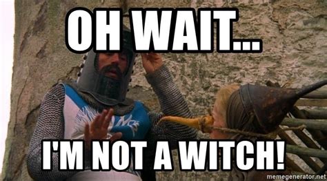 Image result for Monty Python Witch Scene