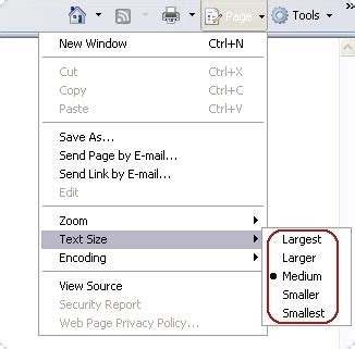 Accessibility Options in Browsers