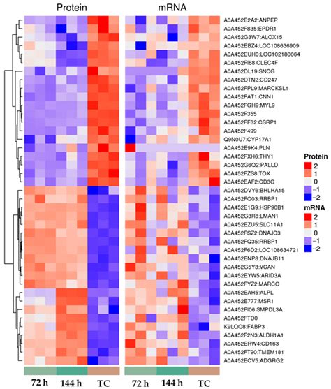 Combined Transcriptomic and Proteomic of Corynebacterium ...
