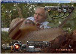 Free AVI Movie Player 1.2.326.1 - Скачать на ПК бесплатно