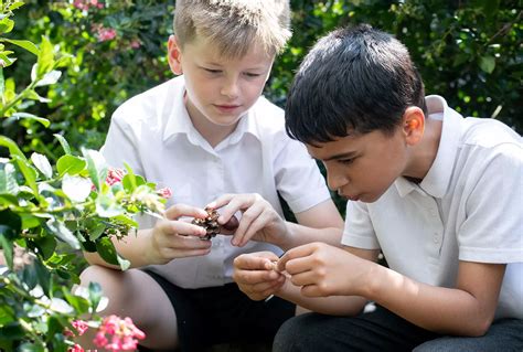 Image result for Outdoor Learning
