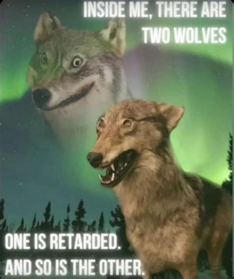 The best Wolves memes :) Memedroid