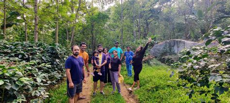 Rangana Betta Homestay, Chikmagalur - Homestay Advisor