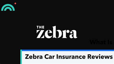 Image result for Zebra Compare Car Insurance