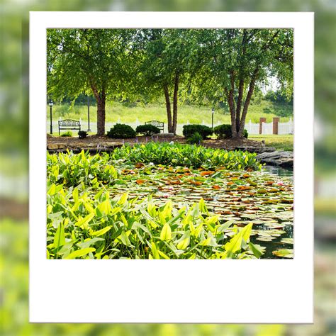 Home - Wilshire at Lakewood