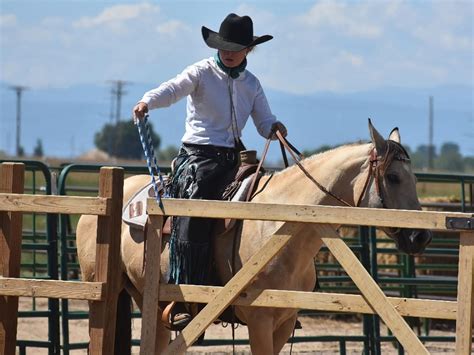 Working Equitation Obstacle Clinic, Silver City, NM, Tyrone, 1 June ...