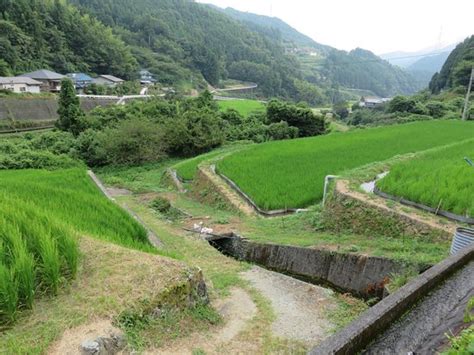 ISHIDATAMI NO YADO (Uchiko-cho) - Minshuku Reviews & Photos - Tripadvisor