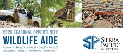 Sierra Pacific Industries - Forestry - Wildlife Biologist Aide - Sierra ...