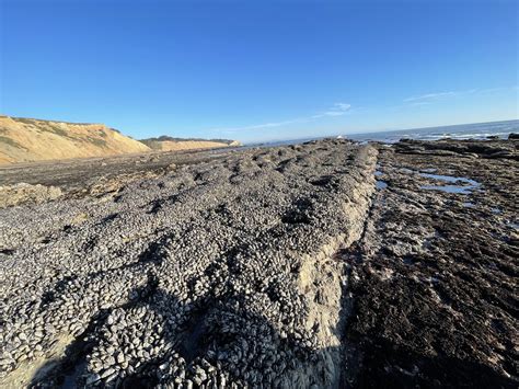 Image result for Reef Decatur Indiana