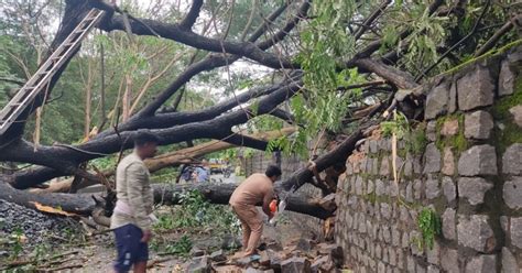 Cyclone Mandous : 27 departures delayed in Chennai; several trees uprooted