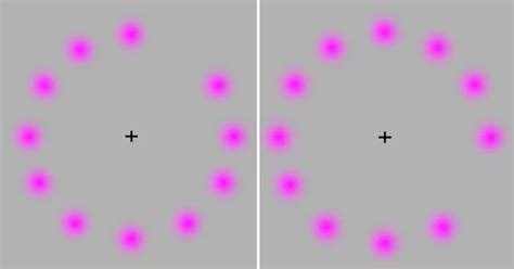 Optical Illusion Proves How Perception Can Change Reality