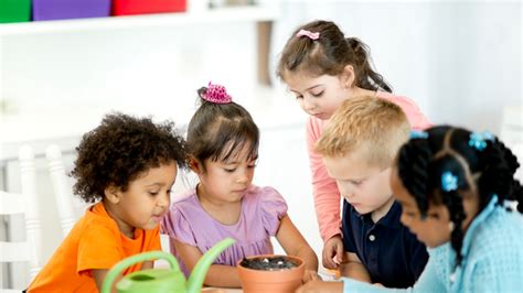 Teamwork Children 的图像结果