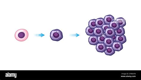 Image result for Cancer Development Cartoon