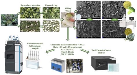 Ultrasound-Assisted Extraction of Bioactive Compounds from Broccoli By ...