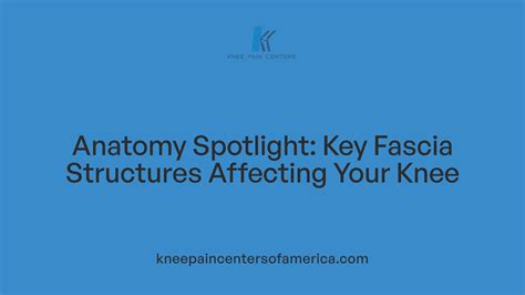Understanding the role of fascia in knee joint health