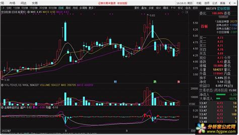 金蜘蛛超级资金SVIP@通达信适用，德圣通原创 超准确的资金指标 - 分析家公式网