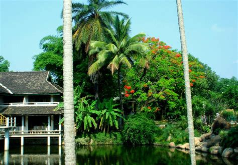 中国科学院西双版纳热带植物园 - 中国旅游资讯网365135.COM