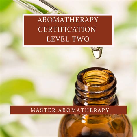 Aromatherapy Classes 的图像结果