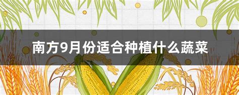 9月份适合种植什么蔬菜 适合秋季九月份种的蔬菜-植物说