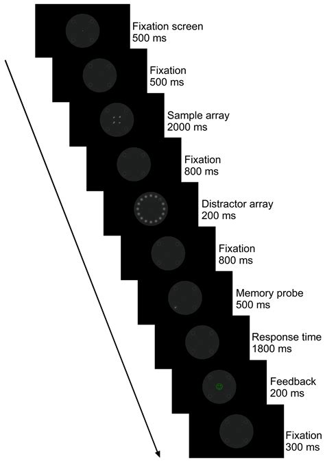 The Impact of State Depression on Proactive Control and Distractor ...
