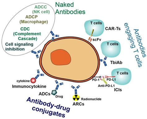 Precision Medicine: Disease Subtyping and Tailored Treatment