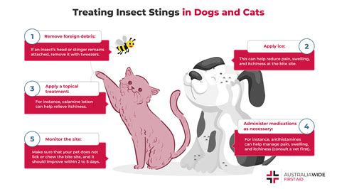 How To Treat Bug Bites On Dog at Eddie Randolph blog