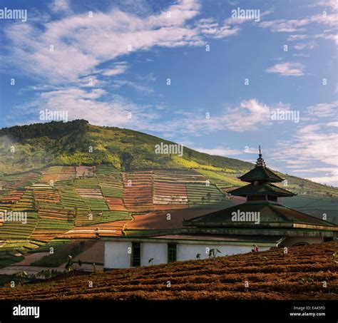 Image result for Java Field Example