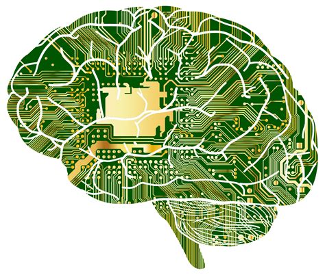 Computer Brain transparent PNG - StickPNG