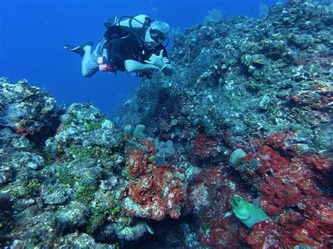 Jay Jeters BDay Fundraiser Dive for Roatan Marine Park, West Bay Roatan ...