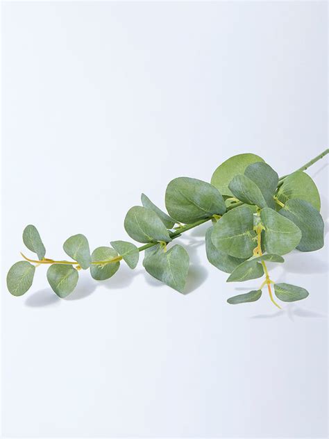 Buy Westside Home Green Artificial Eucalyptus Plant from Westside