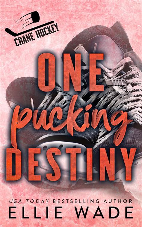 One Pucking Destiny: A Forbidden Love, Secret Relationship Hockey ...